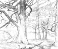 /album/el-paisaje-natural-/paisaje-natural12-jpg/